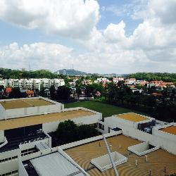 Blk 1 Ghim Moh Road (Queenstown), HDB 3 Rooms #46155432